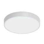 Brim Outdoor Color-Select Ceiling Light - White