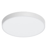 Brim Outdoor Color-Select Ceiling Light - White