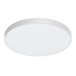 Brim Outdoor Color-Select Ceiling Light - White