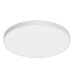 Brim Outdoor Color-Select Ceiling Light - White