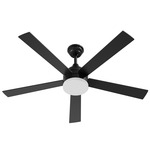 Maddox LED Color-Select Ceiling Fan - Black / Frosted