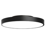 Rhythm Ceiling Light Fixture - Black