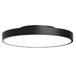 Rhythm Ceiling Light Fixture - Black