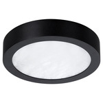Argyle Color-Select Ceiling / Wall Light - Textured Black / Alabaster