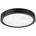 Argyle Color-Select Ceiling / Wall Light - Textured Black / Alabaster