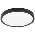 Argyle Color-Select Ceiling / Wall Light - Textured Black / Alabaster