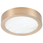 Argyle Color-Select Ceiling / Wall Light - Champagne Gold / Alabaster