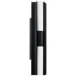 Colton Color-Select Double Bathroom Vanity Light - Textured Black / Opal