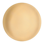 Anoor Wall / Ceiling Light - Champagne