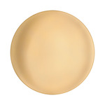 Anoor Wall / Ceiling Light - Champagne