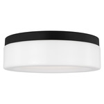Rhett Ceiling Light - Midnight Black / Etched White
