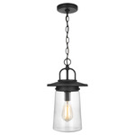 Tybee Outdoor Pendant - Black / Clear
