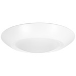 Traverse Direct Ceiling Light - White / Frosted