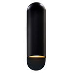 Ambiance Capsule Outdoor Wall Sconce - Carbon Matte Black