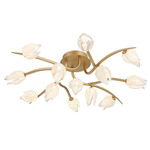 Belluno Ceiling Light - Champagne Gold / Etched Glass