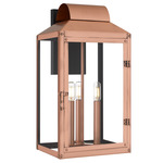 Beryn Outdoor Wall Light - Aged Copper / Clear
