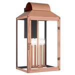 Beryn Outdoor Wall Light - Aged Copper / Clear