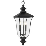 Farley Outdoor Pendant - Matte Black / Clear