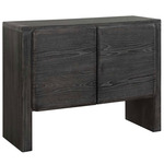 Bierk 2-Door Cabinet - Black