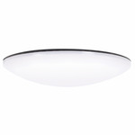 Bowie Ceiling Fan LED Light Kit - Etched White