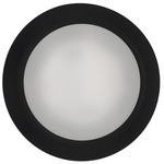 Disc 10 inch Ceiling / Retrofit Recessed Light - Black