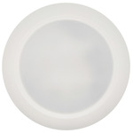 Disc 10 inch Ceiling / Retrofit Recessed Light - White