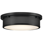 Pierce Ceiling Light - Black / Etched Opal