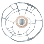Muse Color-Select Wall Sconce / Ceiling Light - Sterling / Clear