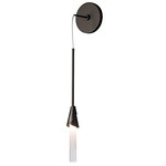 Lilium Hanging Wall Sconce - Oil Rubbed Bronze / Frost / Clear