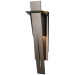 Linea Outdoor Wall Sconce - Coastal Dark Smoke