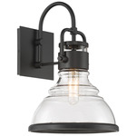 Calen Outdoor Wall Light - Matte Black / Clear