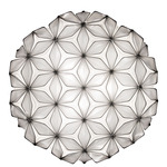 C'Est La Vie Wall / Ceiling Light - Black