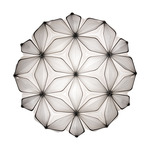 C'Est La Vie Wall / Ceiling Light - Black