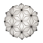 C'Est La Vie Wall / Ceiling Light - Black