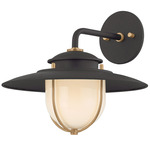 Greentree Outdoor Wall Sconce - Forged Iron / Opal