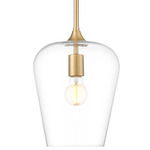 Joliet Pendant - Burnished Brass / Clear