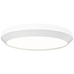 Quasars Color-Select Ceiling Light - Matte White / White