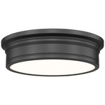 Bentley Color-Select Ceiling Light - Matte Black / White