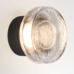 Roc Outdoor Wall Sconce - Black / Clear