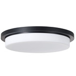 Dominic Ceiling Light - Matte Black / Soft White