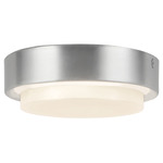Bailey Outdoor Color-Select Ceiling Light - Brushed Nickel / Frost