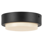Bailey Outdoor Color-Select Ceiling Light - Black / Frost