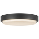 Bailey Outdoor Color-Select Ceiling Light - Black / Frost