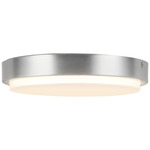 Bailey Outdoor Color-Select Ceiling Light - Brushed Nickel / Frost