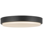 Bailey Outdoor Color-Select Ceiling Light - Black / Frost