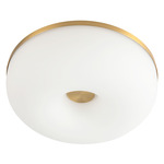 Jada Wall / Ceiling Light - Brushed Gold / Matte Opal