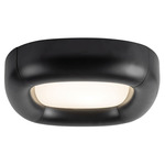 Folio Color-Select Ceiling Light - Black / Frost