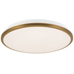 Brook Color-Select Wall / Ceiling Light - Brushed Gold / Frosted