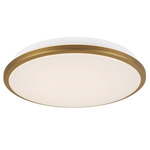 Brook Color-Select Wall / Ceiling Light - Brushed Gold / Frosted