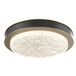 Iris Ceiling Flush / Wall Sconce - Gilded Brass / Matte Black